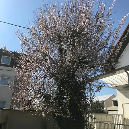 招待所 Hello Ljubljana- Green Way And 卢布尔雅那