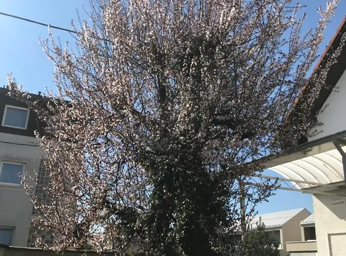 Guest house Hello Ljubljana- Green Way And Ljubljana